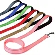Nylon Dog Leash | https://www.bestnamebadges.com
