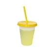 16Oz Reusable Plastic Color Changing Cups W/ Lid & Straw | https://www.bestnamebadges.com