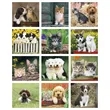 Good Value™ Puppies & Kittens - Mini Calendar | https://www.bestnamebadges.com