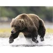 Triumph® Calendars Sportsman Calendar | https://www.bestnamebadges.com