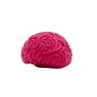 Pencil-Top Eraser Brain | https://www.bestnamebadges.com