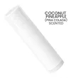 Custom Dome SPF 15 Lip Balm | https://www.bestnamebadges.com