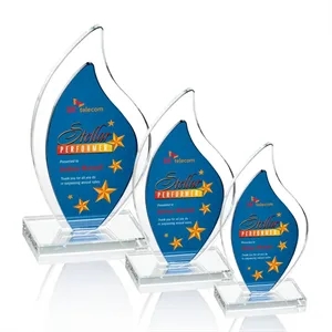 Flamingo VividPrint™ Award - Blue