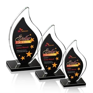 Flamingo VividPrint™ Award - Black