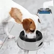 No Spill Floating Disk Dog Water Bowl | https://www.bestnamebadges.com
