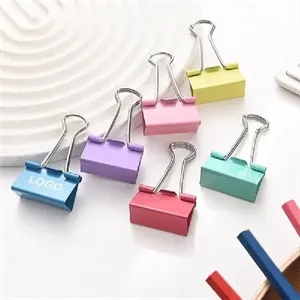 Assorted Metal Binder Clips - 1 in & 0.7 in