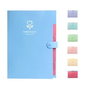 5 Pocket Colorful Drawer File Folder