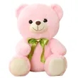 13.78 Inches Teddy Bear Custom LOGO | https://www.bestnamebadges.com
