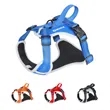 Oxford Chest Strap for Dogs | https://www.bestnamebadges.com