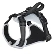 Oxford Chest Strap for Dogs | https://www.bestnamebadges.com