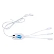 Good Value™ DualLink Charging Cable 2A with USB Hub | https://www.bestnamebadges.com