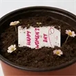 Customized Sunflower Seed Paper Tags | https://www.bestnamebadges.com