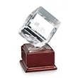 Carlton Award on Radison | https://www.bestnamebadges.com