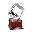 Carlton Award on Radison | https://www.bestnamebadges.com