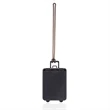 Mini Carry-on Luggage Tags | https://www.bestnamebadges.com
