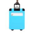Mini Carry-on Luggage Tags | https://www.bestnamebadges.com