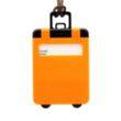Mini Carry-on Luggage Tags | https://www.bestnamebadges.com