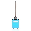 Mini Carry-on Luggage Tags | https://www.bestnamebadges.com