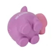 PVC Large Nose Piggy Bank | https://www.bestnamebadges.com