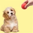 Solid Rubber Dog Balls | https://www.bestnamebadges.com
