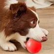Solid Rubber Dog Balls | https://www.bestnamebadges.com