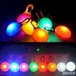 LED Bone Pet Name Tag | https://www.bestnamebadges.com