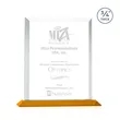 Harrington Award - Amber | https://www.bestnamebadges.com