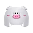 Decorative Plastic Piggy Tissue Box Cover | https://www.bestnamebadges.com
