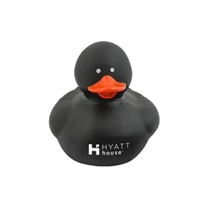 Colorful Duck