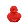 Colorful Duck | https://www.bestnamebadges.com