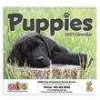 Triumph® Calendars Puppies Calendar | https://www.bestnamebadges.com