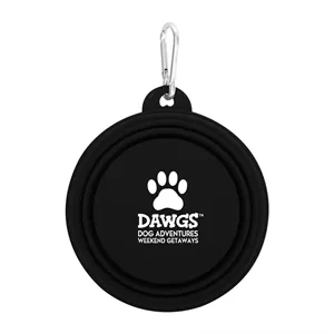 Collapsible Bowl