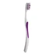 Toothbrush With Tongue Scraper | https://www.bestnamebadges.com