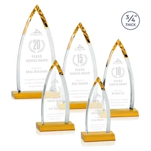 Shildon Award - Amber