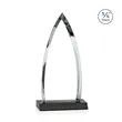 Shildon Award - Black | https://www.bestnamebadges.com