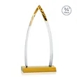 Shildon VividPrint™ Award - Amber | https://www.bestnamebadges.com