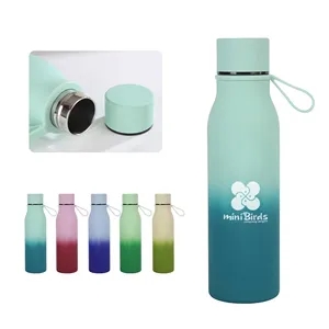 17oz Stainless Steel Sports Water Bottle with Handle