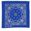 Garyline® 22" Bandana with Stock Paisley Pattern | https://www.bestnamebadges.com