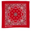 Garyline® 22" Bandana with Stock Paisley Pattern | https://www.bestnamebadges.com