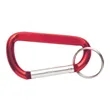 Carabiners With Keyring | https://www.bestnamebadges.com