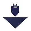Pet Bandana Bib Triangle Scarf | https://www.bestnamebadges.com