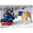 Dog Calming Hoodie | https://www.bestnamebadges.com
