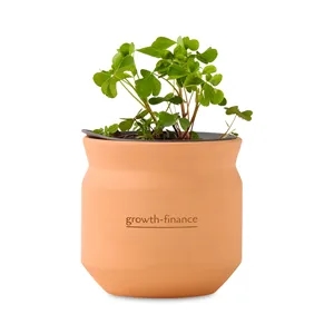 Modern Sprout Tiny Terracotta Lucky to Have You