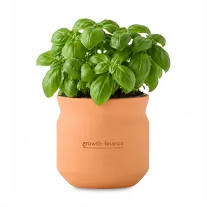 Modern Sprout Tiny Terracotta Big Congrats