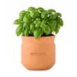 Modern Sprout Tiny Terracotta Big Congrats | https://www.bestnamebadges.com
