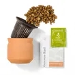 Modern Sprout Tiny Terracotta Big Congrats | https://www.bestnamebadges.com