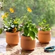 Modern Sprout Tiny Terracotta Thank You | https://www.bestnamebadges.com