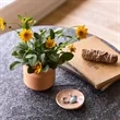 Modern Sprout Tiny Terracotta Thank You | https://www.bestnamebadges.com