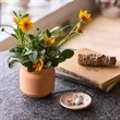 Modern Sprout Tiny Terracotta Thank You | https://www.bestnamebadges.com