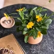 Modern Sprout Tiny Terracotta Thank You | https://www.bestnamebadges.com